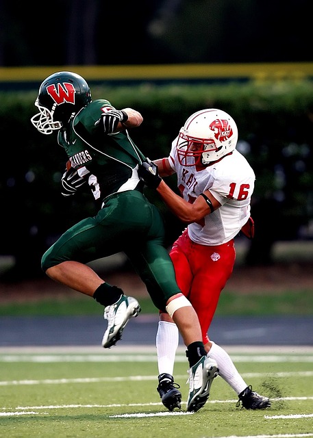 是明星球员 是明星球员